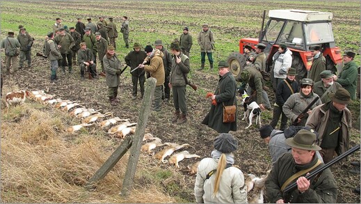 44 Hlavní hon 2011.jpg