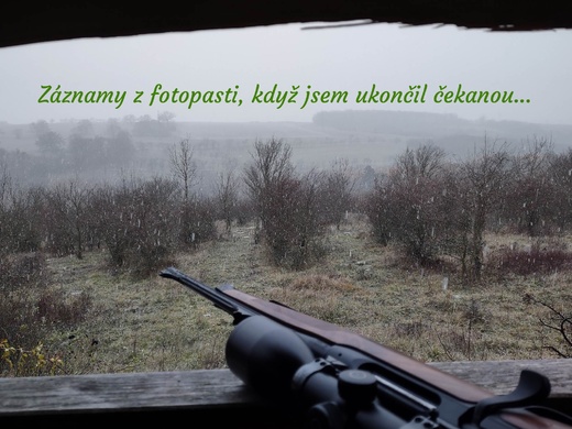 Fotopast 019.jpg