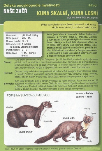 Zvěř 025.jpg
