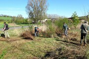 IMG_5353.JPG